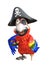 Multicolor cartoon pirate parrot
