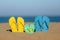 Multicolor flip-flops on the sandy baech against sea and sky