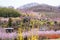 Multicolor flowering trees covering the hillside,Hanamiyama Park,Fukushima,Tohoku,Japan.