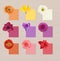 Multicolor flowers and cards of similar shades on white wooden background, collage. Montessori method