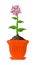 Multicolor fresh flower in a orange pot. Vector Illustration.