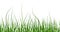 Multicolor green grass. Seamless pattern from left to right. Horizontal on white background. Vector Illustration. EPS10