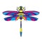 Multicolor isolated dragonfly