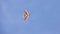 Multicolor kite hovers in blue sky