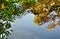 Multicolor leaves on tree branches over the lake.