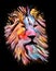 Multicolor Lion