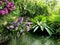 Multicolor orchid and Birdâ€™s nest fern close up the stream