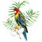 Multicolor parrot with tropical plants and flowers white background
