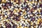 Multicolor Popcorn Kernel Background