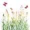 Multicolor silhouettes of flowers and grass with butterflies