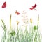 Multicolor silhouettes of flowers and grass with butterflies