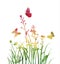 Multicolor silhouettes of flowers and grass with butterflies