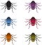 Multicolor Spiders, Spiders Illustrations