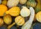 Multicolor squash pumpkins at the market for halloween or thanksgiving