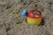Multicolor toy, blue, red and yellow watering-can. Children`s beach toy on stony beach with seaweeds. Close up view