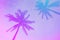 Multicolor tropical palm trees background.