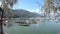 Multicolore tourist boats Lake Pheva, mountain and trees