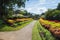 Multicolored alley of trees and flowers . Royal Botanic Gardens, Kandy. Sri Lanka