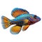 Multicolored aquarium fish on a transparent background, side view. The Mandarinfish, an blue and orange saltwater