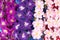 Multicolored artificial orchids as background