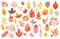 Multicolored autumn leaves, herbs and tree branches, collection of digital illustrations isolated on white. Generative AI