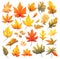 Multicolored autumn tree leaves, collection in watercolor style isolated on white background. Generative AI illustration
