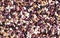 Multicolored background of beans crop agriculture image