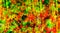 Multicolored background. Gradient defocused background. Wall texture