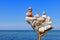 Multicolored balanced stones on an wooden snags, on a blue sky and sea background