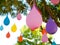 Multicolored balloon filled with water, hanging on a tree