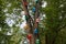 Multicolored birdhouses on a tree