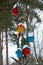 Multicolored birdhouses on tree in winter