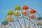 Multicolored booths of ferris wheel summer day. Seafront in Bulgaria, Golden Sands