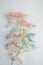 Multicolored bouquet of gypsophila flowers on a paper background