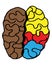 Multicolored brain, schematic drawing of a disease of the left hemisphere, psychology illustration, vector