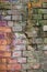 Multicolored brick wall