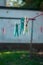 multicolored clothespins on a clothesline