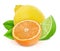 Multicolored composition with different citrus fruits and leaves isolated on a white background.