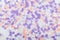 Multicolored confetti of pastel pink, lilac colors. Festive confetti for birthday, new year. Background, top view, flat