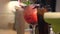 Multicolored delicious cocktails stand in a row on the bar counter, slider shooting