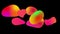 Multicolored ellipses and liquid animations on black background. Morphing shapes gradient video. Abstract background