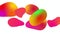 Multicolored ellipses and liquid animations on white background. Morphing shapes gradient video. Abstract background