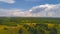 Multicolored European Countryside summer Landscape With Green Field