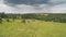 Multicolored European Countryside summer Landscape With Green Field