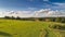 Multicolored European Countryside summer Landscape With Green Field