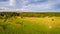 Multicolored European Countryside summer Landscape With Green Field