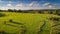 Multicolored European Countryside summer Landscape With Green Field