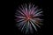 multicolored fireworks with blue and red sparks on an isolated black background for design decoration of the holidays, the new yea