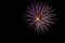 multicolored fireworks with blue and red sparks on an isolated black background for design decoration of the holidays, the new yea