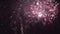 Multicolored fireworks exploding